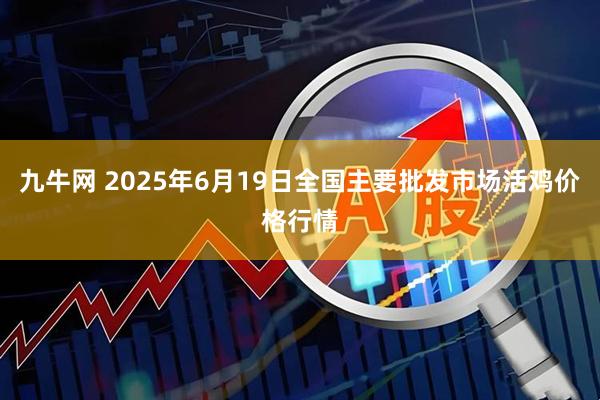 九牛网 2025年6月19日全国主要批发市场活鸡价格行情