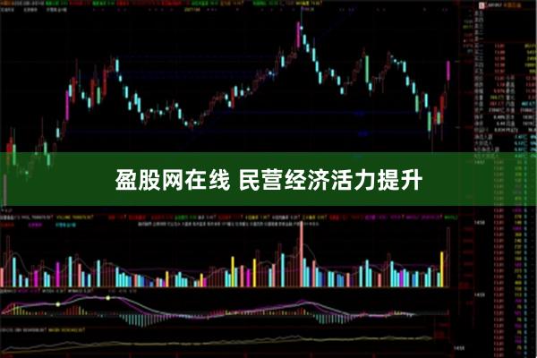 盈股网在线 民营经济活力提升