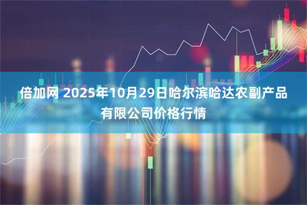 倍加网 2025年10月29日哈尔滨哈达农副产品有限公司价格行情