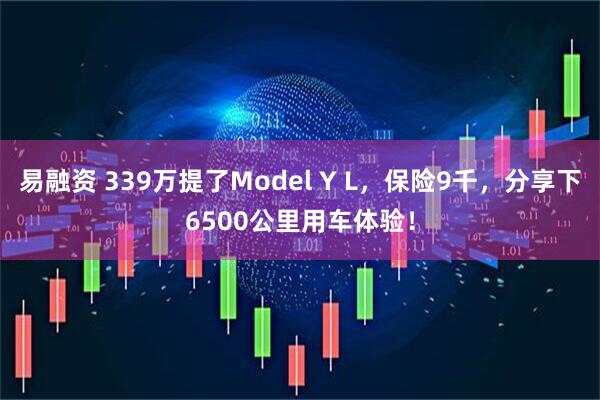易融资 339万提了Model Y L，保险9千，分享下6500公里用车体验！
